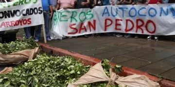 Yerba Mate: presentan proyecto para devolverle al Inym la facultad de fijar precios