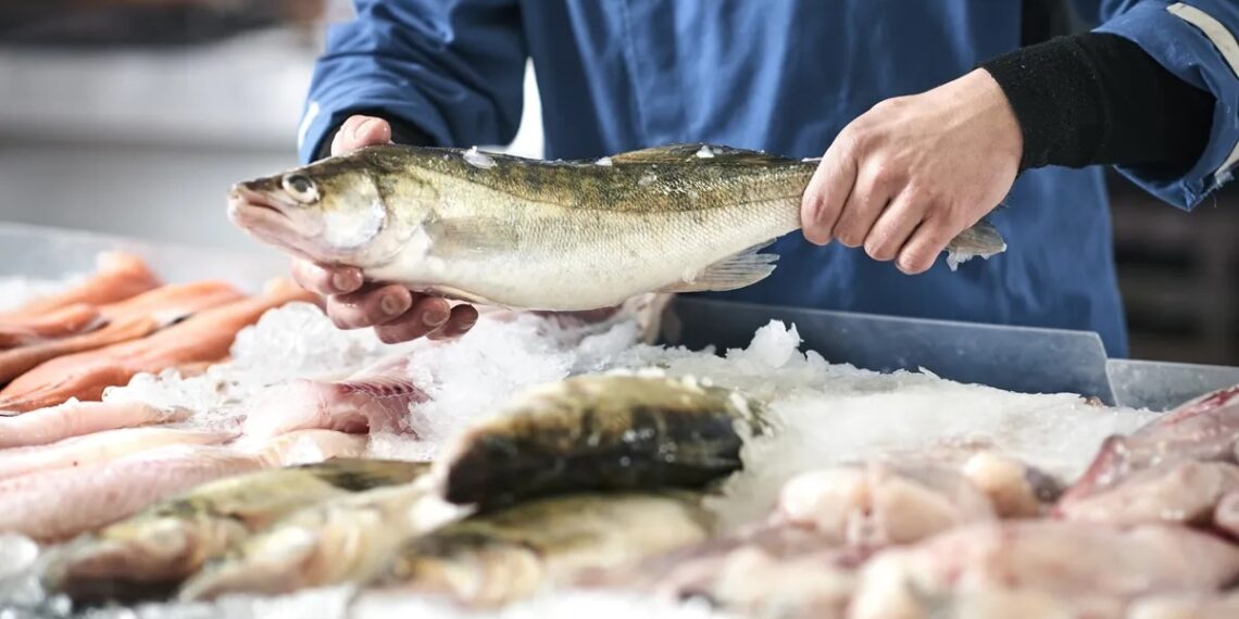 Lanzan el programa “Misiones Pescado” con precios accesibles para Semana Santa