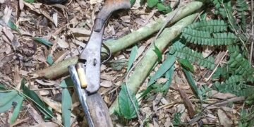 Hallaron sin vida a un hombre que había salido a cazar en la Biosfera Yabotí
