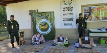 En dos procedimientos, evitan el envío de más de 112 kilos de estupefacientes