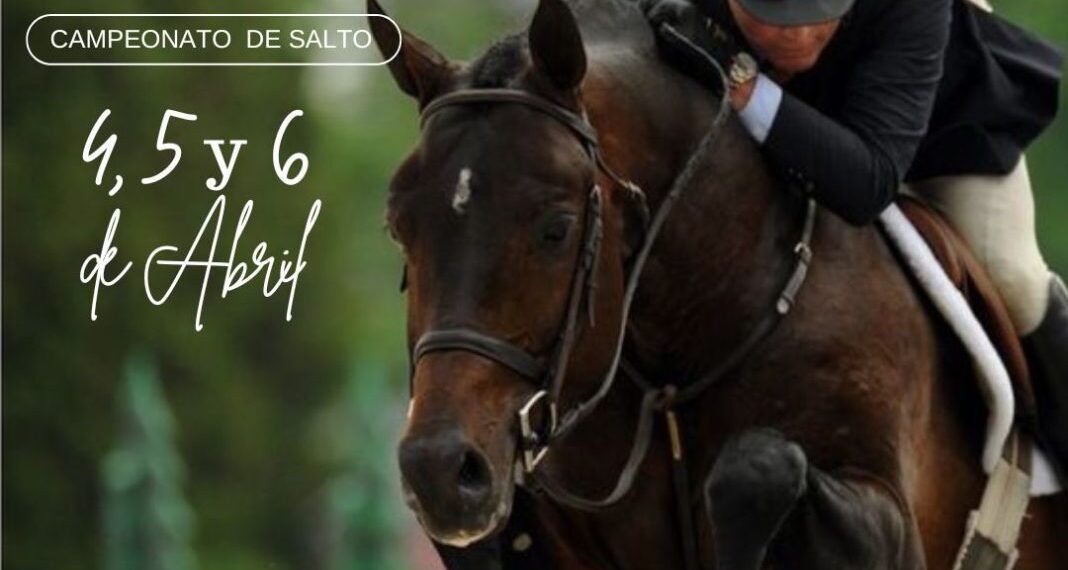 Posadas será sede de campeonatos de la Federación Ecuestre Argentina