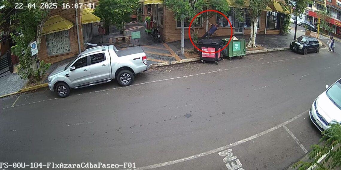 Arrestaron a “Tarzán” por colgarse y romper ramas de 10 árboles del centro de Posadas