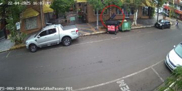 Arrestaron a “Tarzán” por colgarse y romper ramas de 10 árboles del centro de Posadas