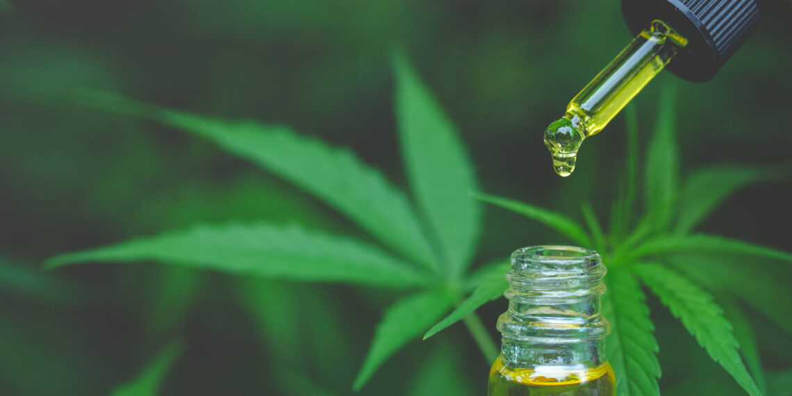 Brindarán atención integral con cannabis medicinal en Itaembé Guazú