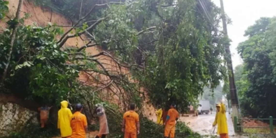 Brasil: con más de 300 personas desplazadas por lluvias, Angra dos Reis declara emergencia