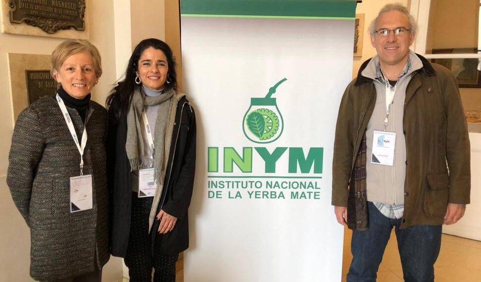 En el Día Mundial del Parkinson, científicos argentinos cuentan cómo el Mate reduce el riesgo de desarrollar la enfermedad