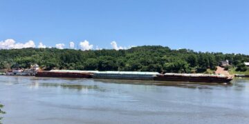 Reunión clave entre Misiones e Itapúa para avanzar en el puente internacional Puerto Rico-Puerto Triunfo