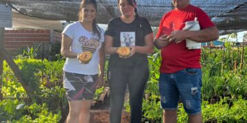 Huerta comunitaria: un modelo de autosustento en uno de los barrios del Iprodha de Itaembé Guazú