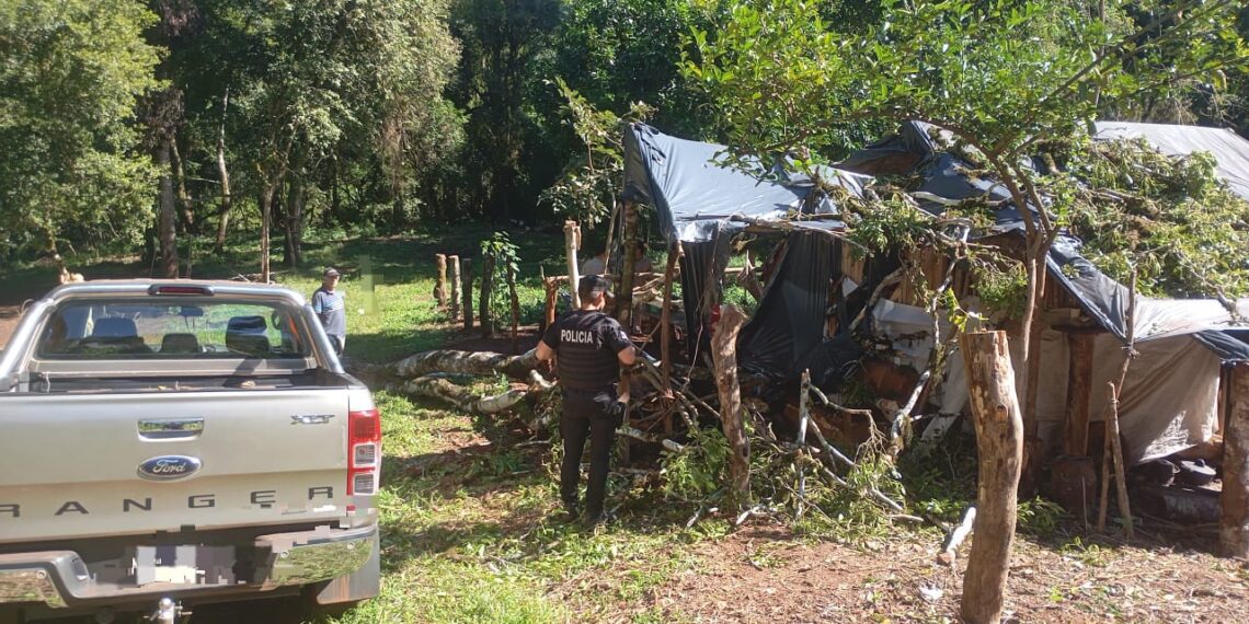 Eldorado: falleció un hombre tras caer un árbol sobre una casa
