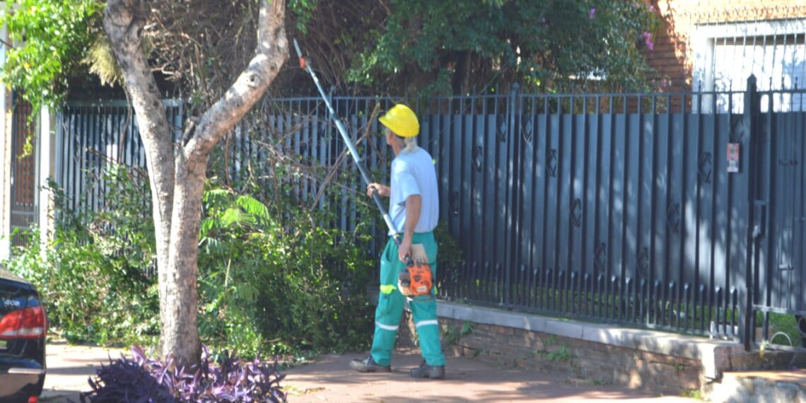 Comenzó el Operativo Integral de Poda en Posadas