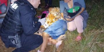 Dos Hermanas: una mujer dio a luz al costado de la ruta y fue asistida por la Policía
