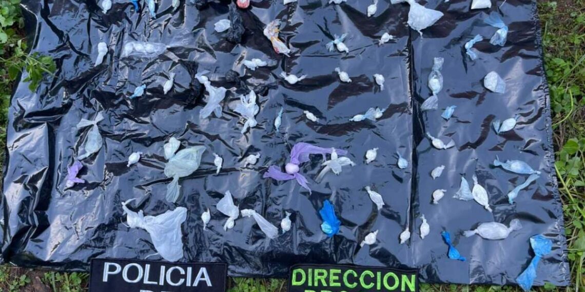 Narcos delivery ocultaron cocaína en la casa de una abuela: la droga valuada en más de un millón de pesos fue incautada