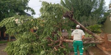 La Municipalidad de Posadas atendió unos 273 incidentes tras el último temporal