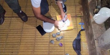 Cayeron dos sospechosos de narcomenudeo en un operativo de Infantería en San Vicente