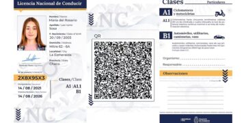 Desde hoy rige la nueva Licencia de Conducir Digital: qué jurisdicciones adhirieron y cómo es el trámite online