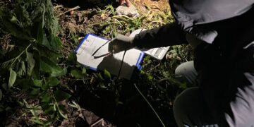Secuestran droga valuada en siete millones oculta en una construcción en San Pedro