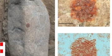 Hallaron la huella dactilar más antigua del mundo y es de un neandertal