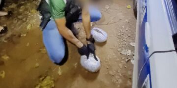 Recorridas rurales permitieron detectar un centro de acopio de marihuana en la ribera del Río Uruguay