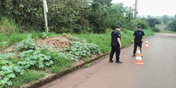 Investigan un presunto robo millonario en la localidad de Wanda
