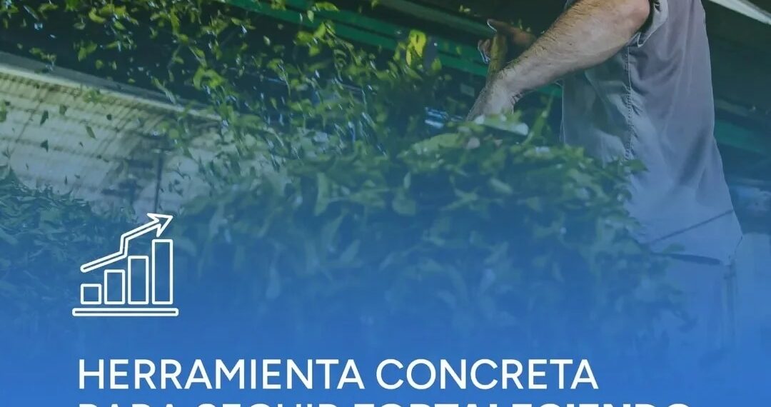 Ampliaron el cupo de la línea de crédito productivo en Misiones