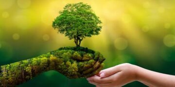 Día Mundial del Medio Ambiente: ¿por qué se celebra el 5 de junio?