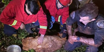 Apóstoles: rescataron a un labrador que había caído a un pozo y estuvo desaparecido cinco días