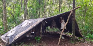 Interceptan cazadores furtivos dentro del Parque Provincial Urugua-í 