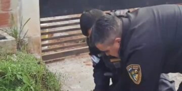 Se metió dentro de una chimenea para evitar ser atrapado robando: la Policía lo sacó y lo detuvo