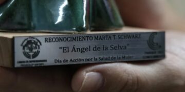 Mujeres de la salud serán homenajeadas con el premio “El Ángel de la Selva” en la Legislatura Misionera