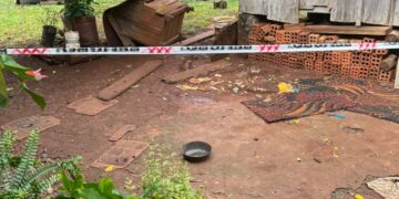 Puerto Iguazú: denuncian que un yaguareté ingresó a una vivienda y mató a un perro