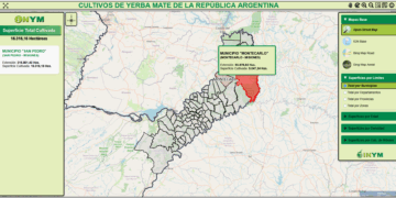 El INYM creó el primer mapa interactivo de yerba mate de la Argentina