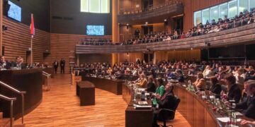 La Legislatura misionera creó un programa integral para el abordaje del cáncer de páncreas