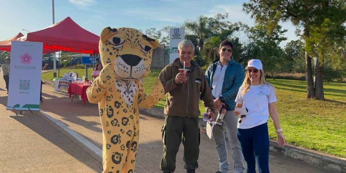 “Yo freno por la fauna”, la campaña de Misiones para proteger a los animales silvestres