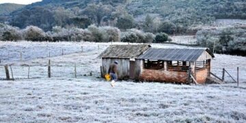 Misiones registró el pico de la ola polar con heladas y temperaturas bajo cero