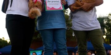 El IMUSA celebró el “Día del amigo incondicional” con un desfile de mascotas en la Costanera
