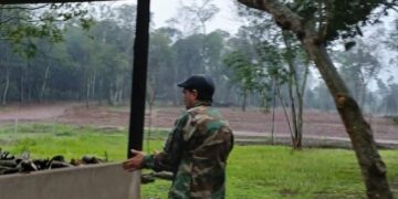 Tras una inspección ambiental, el Ministerio de Ecología detiene las obras del kartódromo en Puerto Iguazú
