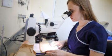 Misiones impulsa una red de vigilancia para prevenir enfermedades transmitidas por mosquitos