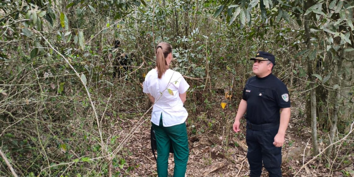 Hallaron restos humanos calcinados en una zona rural de Bernardo de Irigoyen