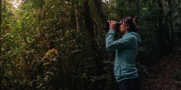 Volar 2025: Misiones celebrará el primer encuentro internacional de observación de aves
