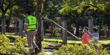 Continúan los operativos de poda en distintos barrios de Posadas