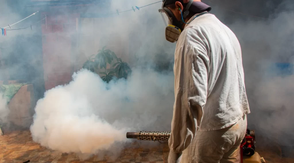 Día Internacional contra el Dengue: prevención y conocimiento las claves para combatir al mosquito