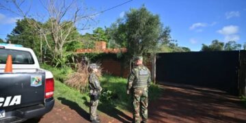 Investigan el supuesto avistamiento de un puma en un barrio de Posadas
