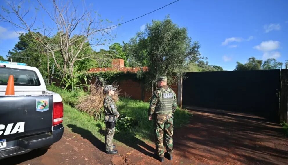 Investigan el supuesto avistamiento de un puma en un barrio de Posadas