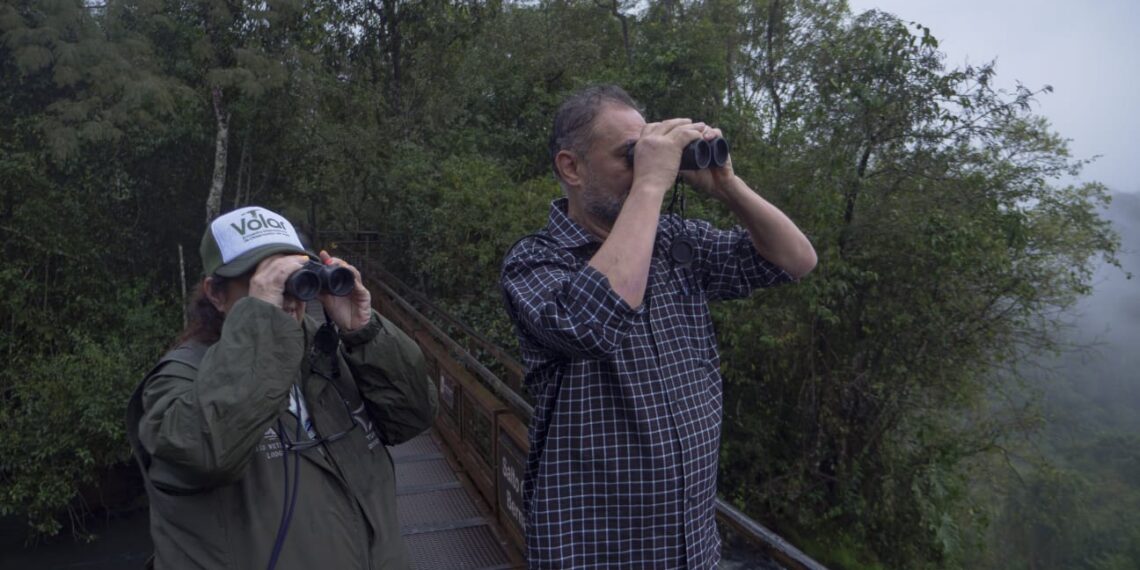 «Volar 2025» cerró en el Parque Nacional Iguazú con un avistaje de vencejos de cascada