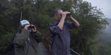 «Volar 2025» cerró en el Parque Nacional Iguazú con un avistaje de vencejos de cascada