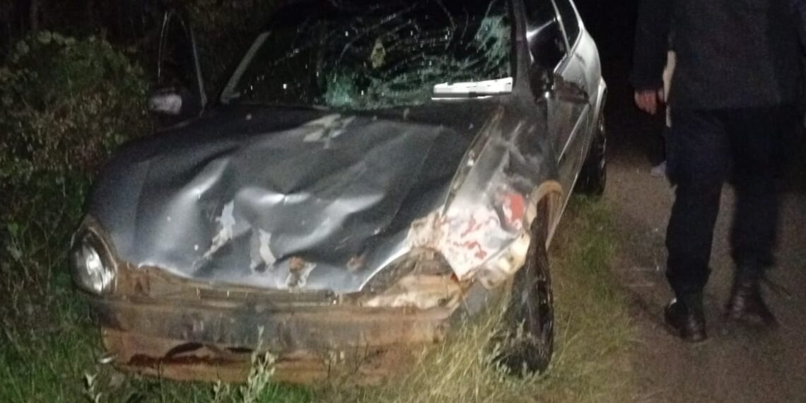 Un vehículo chocó contra una vaca en Cerro Corá: solo daños materiales