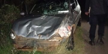 Un vehículo chocó contra una vaca en Cerro Corá: solo daños materiales