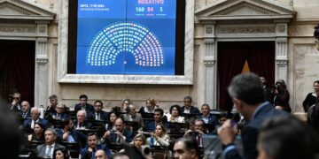 El Gobierno vetó las leyes de financiamiento universitario y de emergencia pediátrica