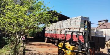 El Inym clausuró un molino, intervino 33 mil kilos de yerba mate envasada e inutilizó 150 mil kilos de palitos