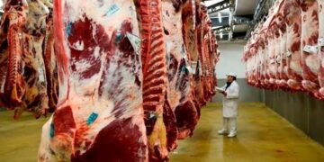 El Gobierno también extendió la eliminación de retenciones a las carnes avícolas y bovinas hasta el 31 de octubre